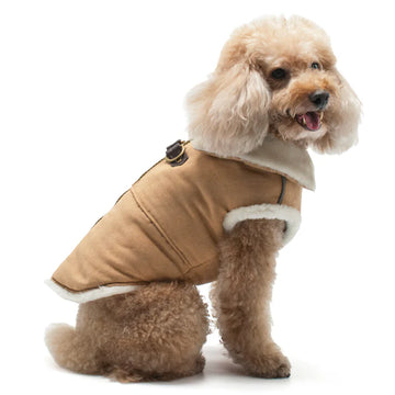 Faux Shearling-Lined Suede Dog Vest ✨