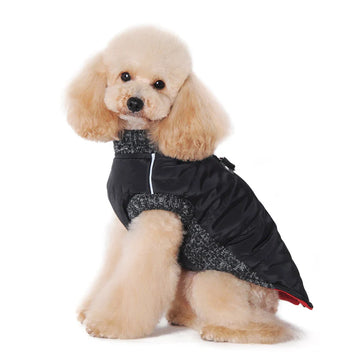 Waterproof Padded Dog Coat ✨